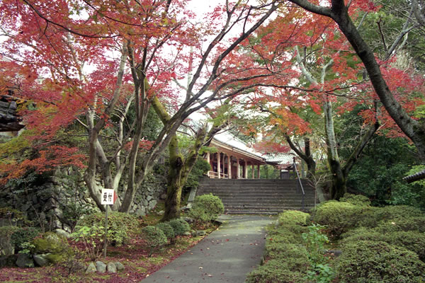 Matsuo-dera temple