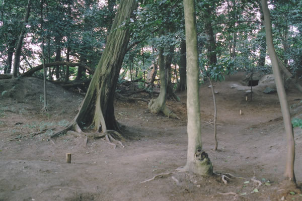 Kasuga shrine/Mibayashi clustered tumuli
