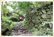 Approaching path for Sefuku-ji temple