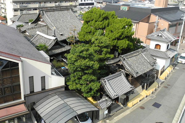 Saikyo-ji temple